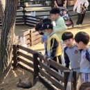 삼양사금강유치원 이미지