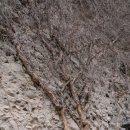 마이산 용암일대 암각서군 | 진안 가볼만한 곳 : 마이산 탑사, 이산묘
