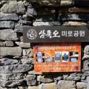 11/30(일)청산수목원,운여해변,흥주사 천년 은행나무,파도리 해식동굴,회먹방 여행 이미지