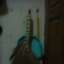 살림선생 이미지