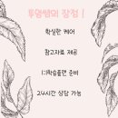 보육교사2급 자격증 취득방법 알아봅시다 ! 이미지