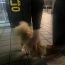 세은전자 이미지