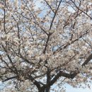 남부문화체육센터 헬스장 이미지