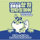 미건렙타일