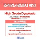 용*종