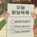 동네 헬스장 인포 후기 :: 오전 오후 장단점