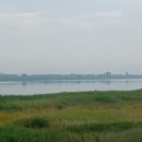 강둑에서 들녘을 걸어 이미지