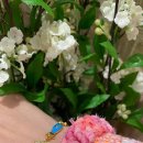 바다친구 이미지