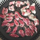 OK농장 Daum카페