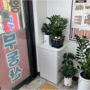 철학공인중개사사무소 | 화성부동산 거래 고민? 새솔동에서 대방황금공인중개사사무소를 선택해야 하는 이유