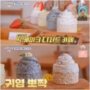 다홍연화 이미지