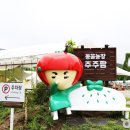 여주게임장 이미지