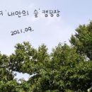 내안의숲 이미지