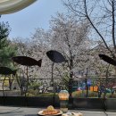 테라스카페153 이미지