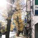 세븐일레븐 [예산신성점] | 8. 도쿄기행(中): 아사쿠사 정복기