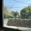 서귀포월드컵경기장 | “파르다르” 법환동카페 제주월드컵경기장카페 제주 서귀포 카페 솔직후기