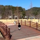 쇠평어린이공원 도깨비놀이터 | 모래놀이 가능한 야외놀이터 쇠평어린이공원 레일썰매까지!