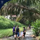 IB Geography students headed out to the River Ayer Hitam-fieldwork. 이미지