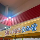 잠실학생체육관 | 농구... 좋아하세요? / 서울 SK 나이츠 직관 후기, 잠실학생체육관 팁