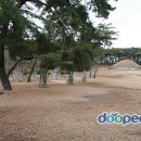 관흥목장 이미지