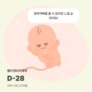 나의 그릇, 삼첩반상기 | [36-38주] 분만법 정하기 (자연분만 vs 유도분만 vs 제왕절개) / 손수건세탁 / 출산D-1