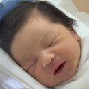 웰하이여성아동병원 | 6박7일 명지 웰하이 제왕절개 출산후기