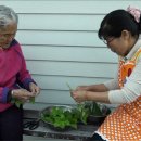 이선영농장 이미지