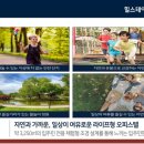 송림도화 이미지