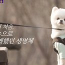 (유)처음으로 이미지