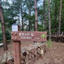 삼척 활기 치유의 숲 이미지