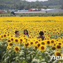 박진규농장 이미지