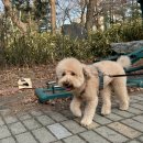 예쓰멍! 이미지