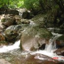 절터골2 이미지