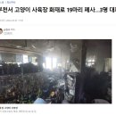 부천서 고양이 사육장 화재로 19마리 폐사…번식장에 남아있는 130마리를 도와주세요! 이미지