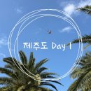 쁘띠 수제분식 | 제주도 여행 Day 1 : 낭만 가득한 애월 여행 코스