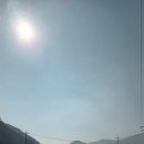 일미리금계찜닭 밀양점