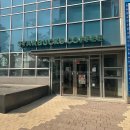 웃게해줄개 이미지