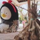 시골소풍 이미지