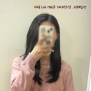 더블유헤어컷 이미지