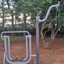 강남정공원 이미지