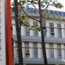 어진동_문화체육관광부 이미지