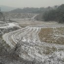 삼계농장 네이버블로그