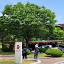 구월1동-15 이미지