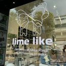 이태원 팝업스토어 라임라이크(Limelkie)팝업