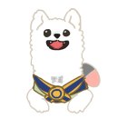 강담 | 내새끼 굿즈 만들기 강아지 주문 제작 옷 &#39;강담이네&#39; 후기