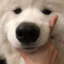 비니비니 이미지