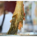 통나무아일랜드 이미지