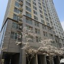 안산 변기 막힘 뚫음~~단원구 선부동 동명벽산블루밍 아파트 변기에 휴지걸이 들어가서 막혀서 석션흡입으로 빼내기 성공 했습니다~~ 이미지