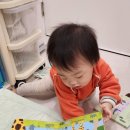 두 손 잡고 랄랄라 | 블루래빗 오감발달 첫 놀잇감 돌 전 아기 책 전집 언제부터 좋을까? 오감발달 시기 알아보자