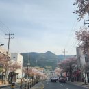 씨채널안경콘택트 강남점 이미지